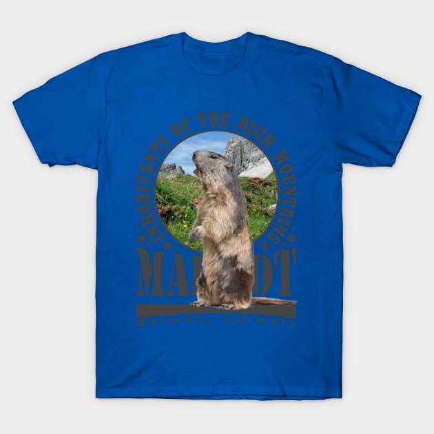 Marmot Alps Inhabitant Mountains T-Shirt by Hariolf´s Mega Store